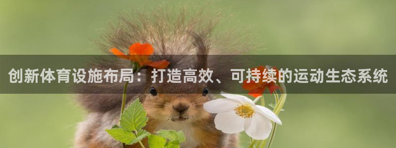 意昂4集团E.ON：创新体育设施布局：打造高效、可持