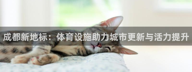 意昂体育4平台注册流程视频：成都新地标：体育设施助力